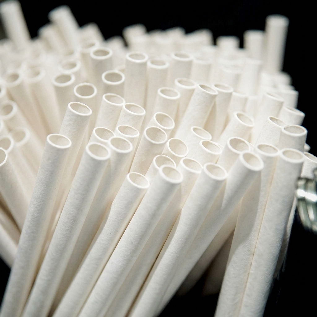 Lastic Biodegradable 6mm (Standard) Straws