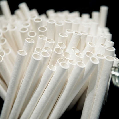 Lastic Biodegradable 6mm (Standard) Straws